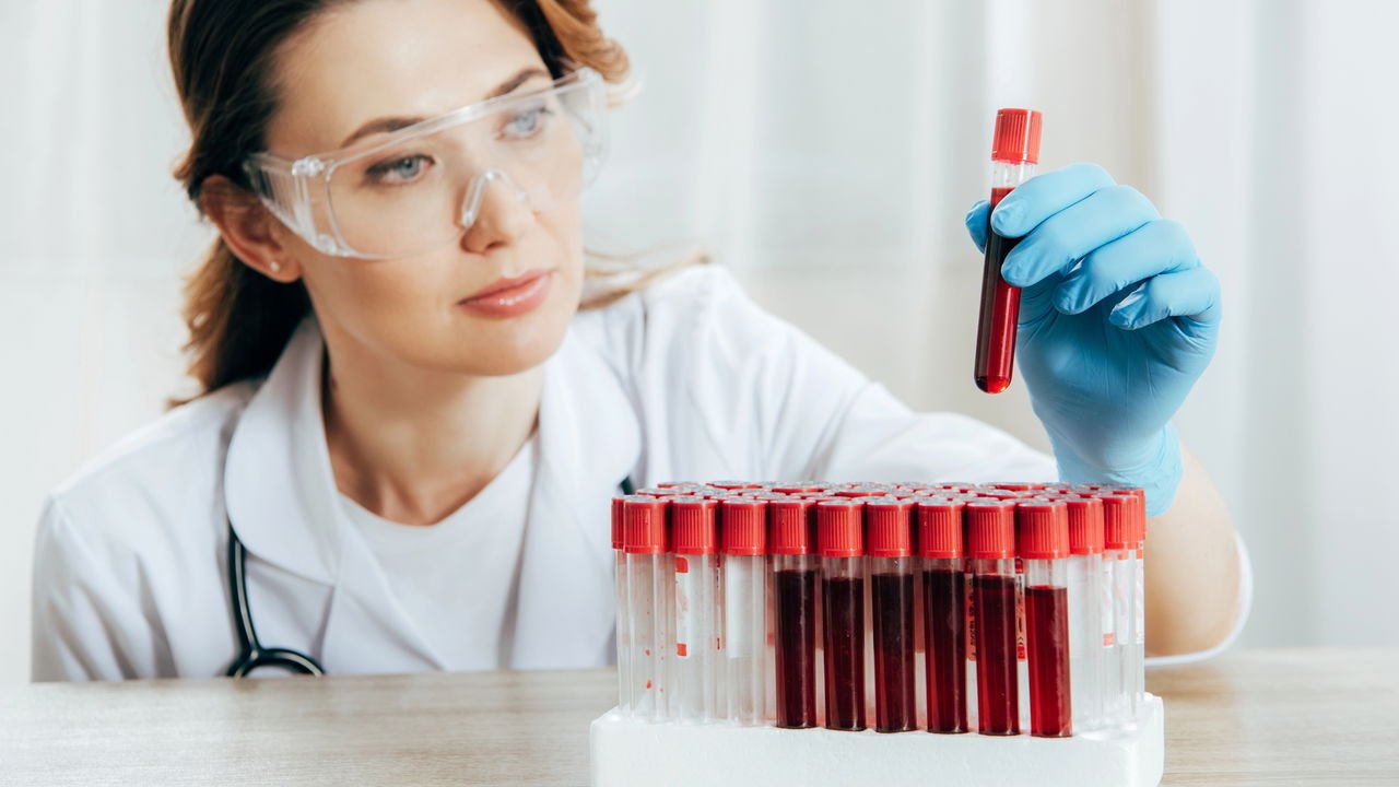 Sangue e Hidratação: Como um Afeta o Outro - inspiração 1