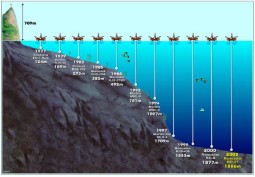 O Que Influencia o Volume de um Barril? - inspiração 1