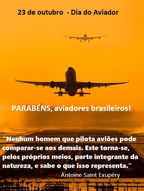 Inspiração que Voa Alto: A Paixão por Voar - inspiração 2