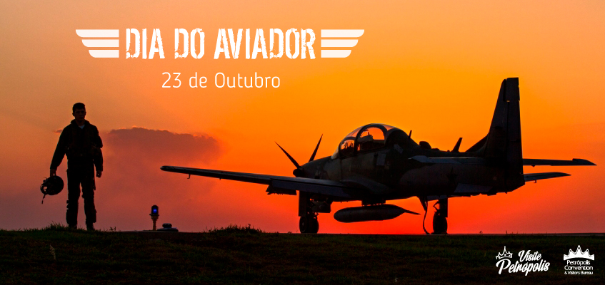 O Impacto da Aviação no Brasil e no Mundo - inspiração 2