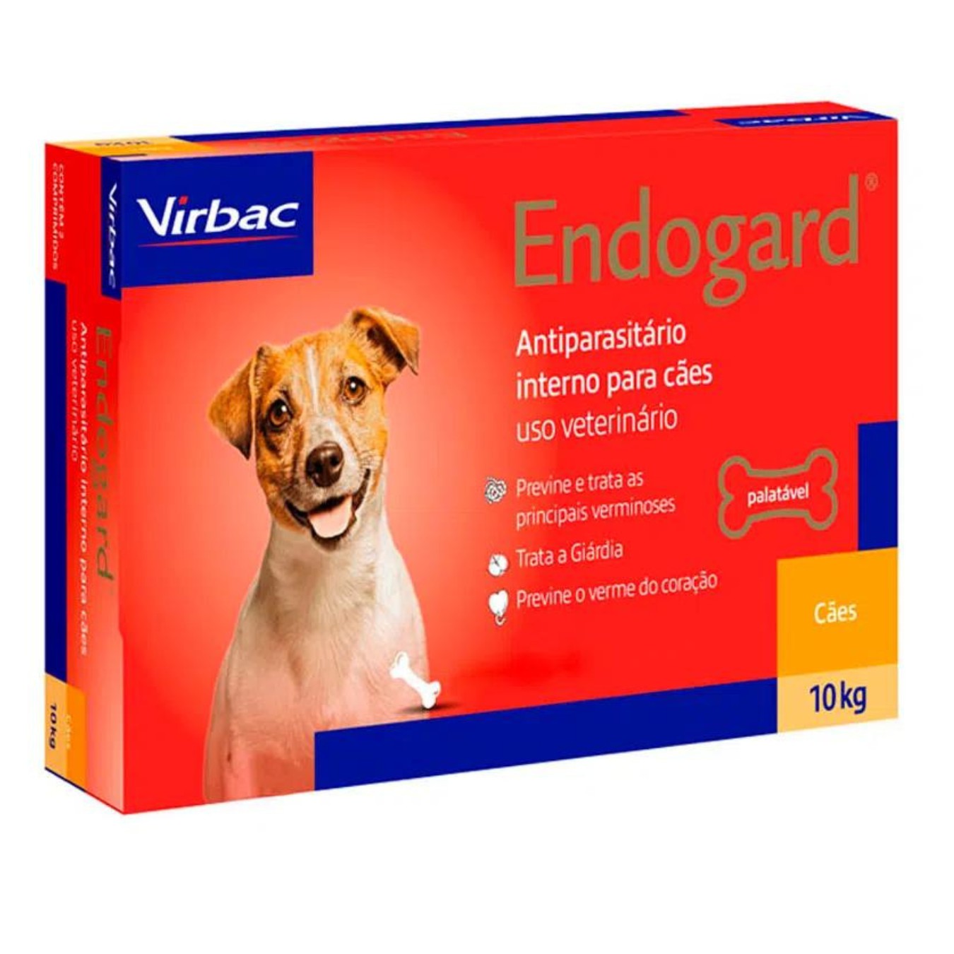 Sinais de Alerta: Como Saber Se Seu Cachorro Está Infestado - inspiração 1