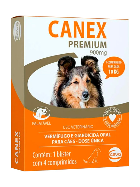 Sinais de Alerta: Como Saber Se Seu Cachorro Está Infestado - inspiração 2