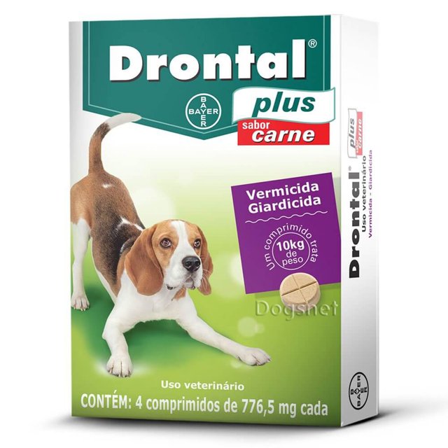 Prevenção Contínua: Mantendo Seu Cão Livre de Parasitas - inspiração 2