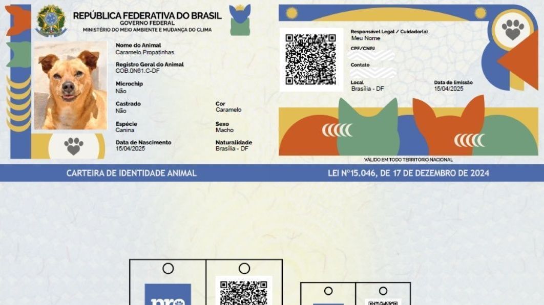 O Que é Exatamente o RG Pet? - inspiração 2