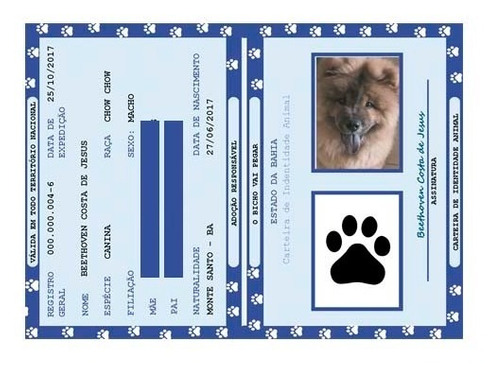 Quem Pode Solicitar o RG Pet? - inspiração 1