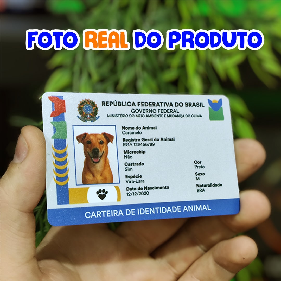 Quem Pode Solicitar o RG Pet? - inspiração 2