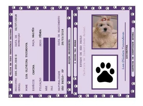 Como Funciona o Processo de Solicitação - inspiração 1