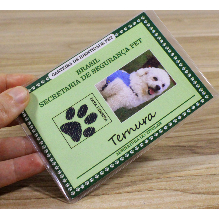 Custos Envolvidos na Emissão do RG Pet - inspiração 1