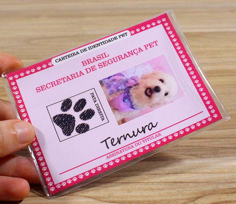 Benefícios Práticos de Ter o RG Pet - inspiração 1