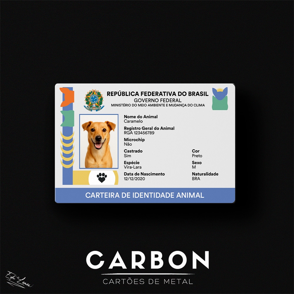 Benefícios Práticos de Ter o RG Pet - inspiração 2