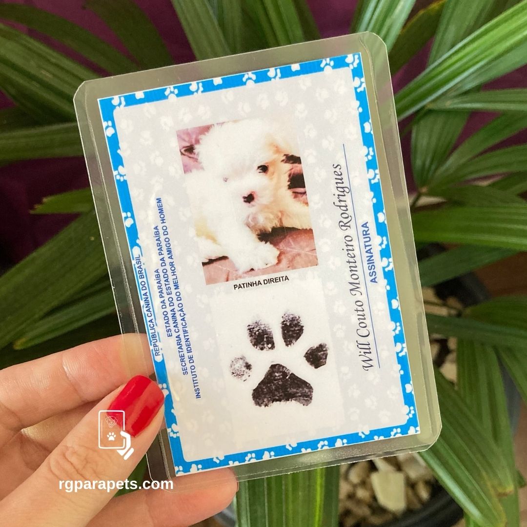 RG Pet: Um Aliado na Busca por Animais Perdidos - inspiração 1