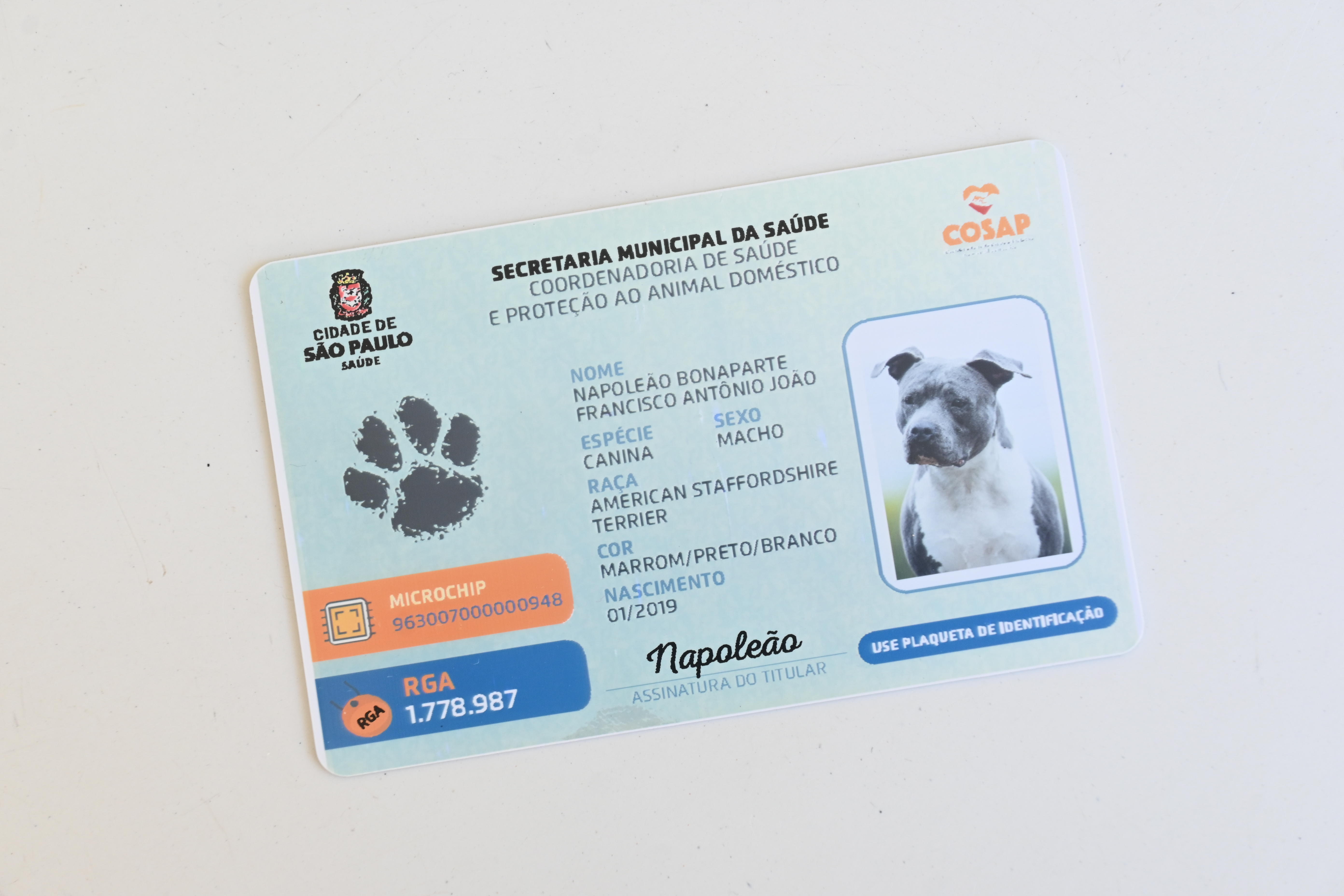 RG Pet: Um Aliado na Busca por Animais Perdidos - inspiração 2