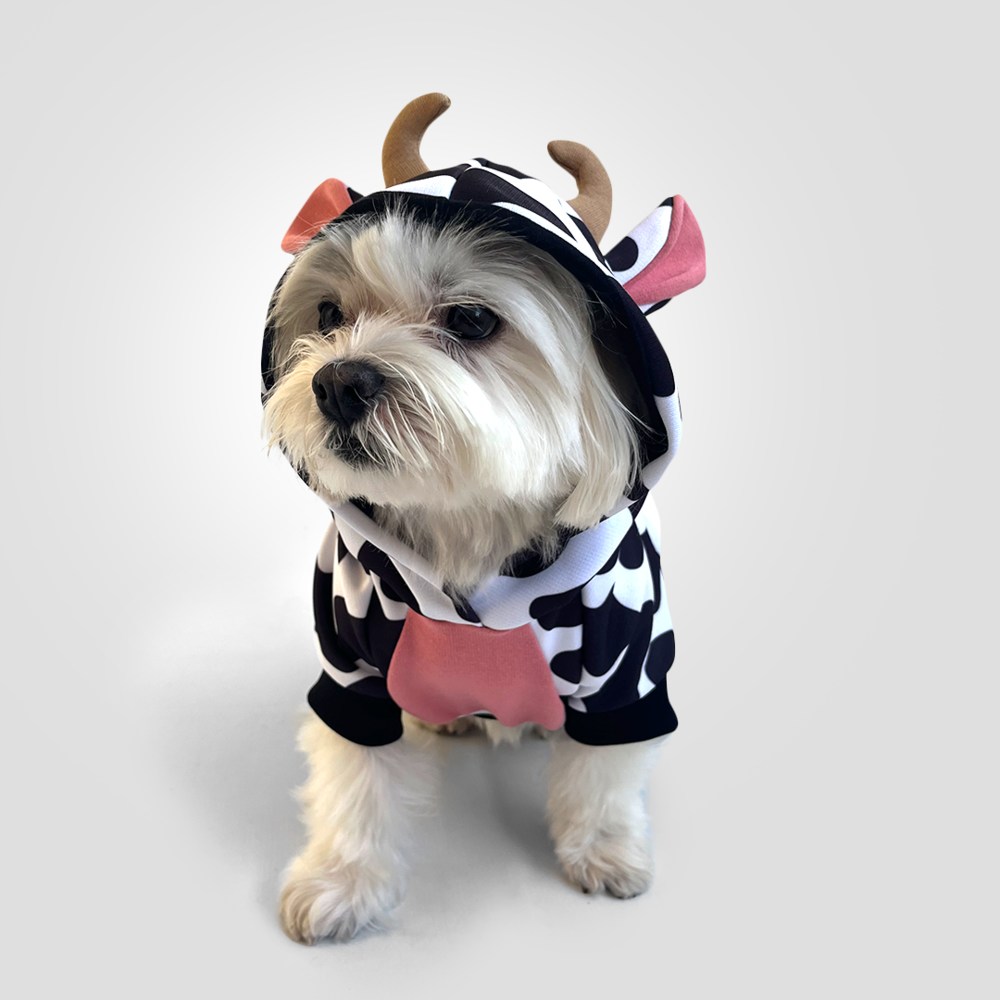 Estações do Ano e as Roupas Certas: Do Inverno ao Verão - inspiração 1