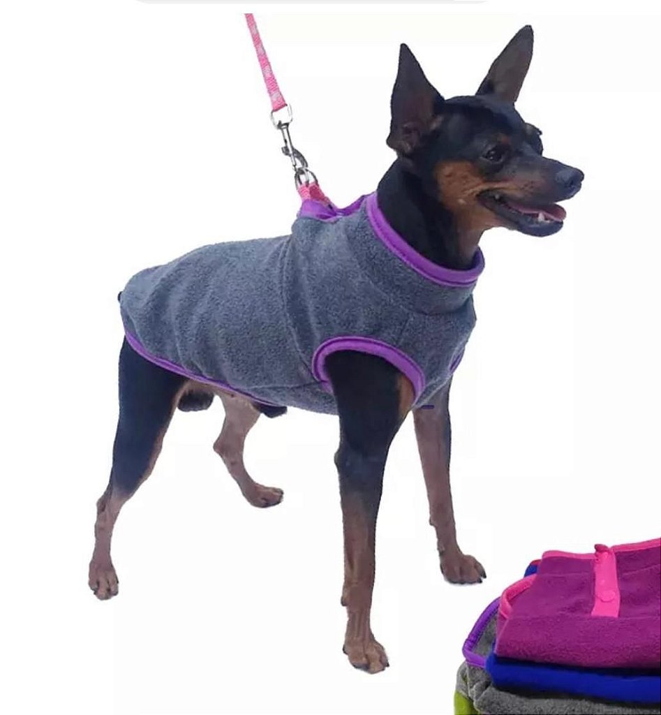 A Roupinha Perfeita para Cada Raça e Porte: Adaptação é Chave - inspiração 2