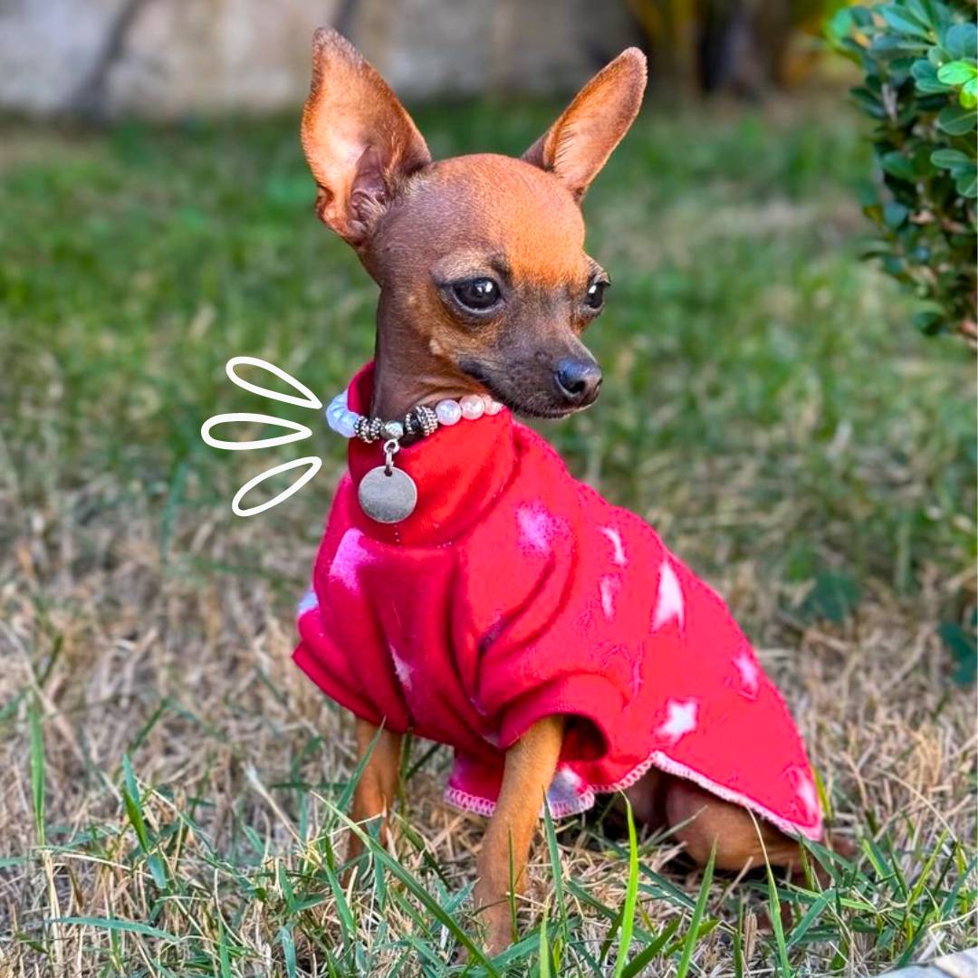 Quando a Roupa é Necessária: Dicas para Dias Específicos - inspiração 1