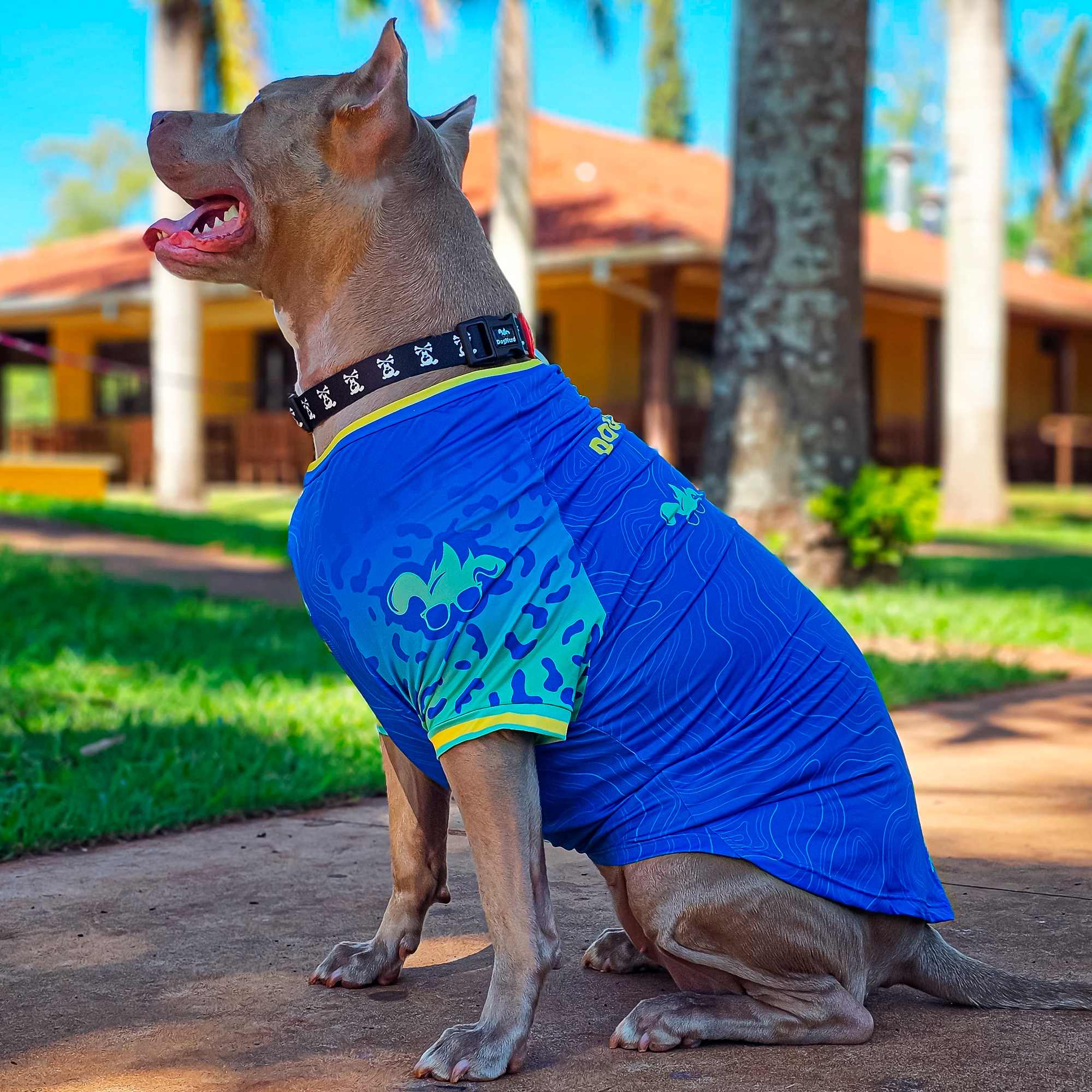 Cuidados com a Pele Sensível: Escolhas Hipolaergênicas e Naturais - inspiração 2