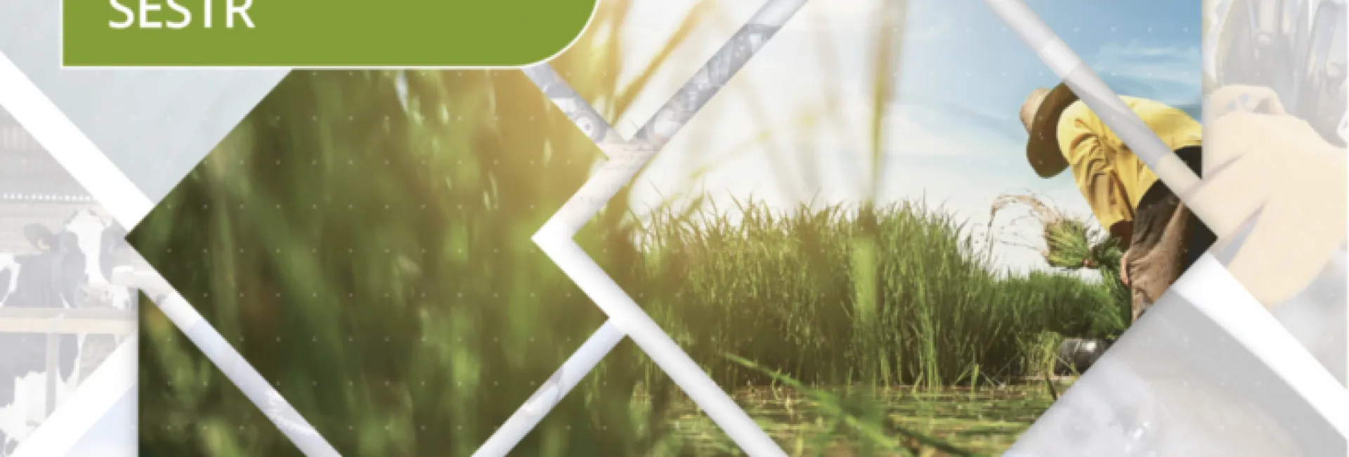 Primeiros Socorros Rurais: Esteja Preparado para Emergências - inspiração 1