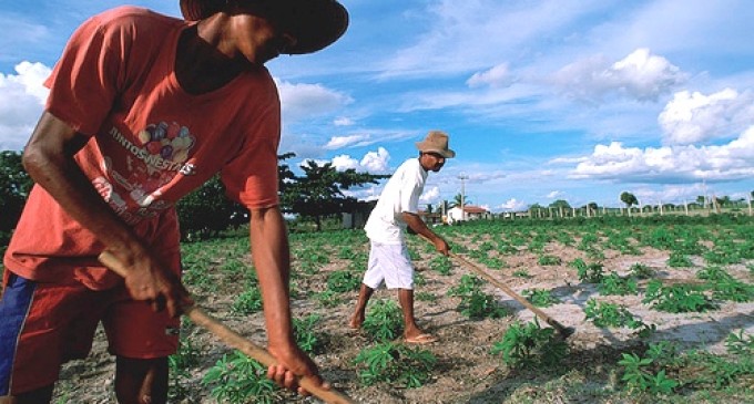 Higiene Pessoal e Alimentação: Combustível para o Seu Corpo - inspiração 2