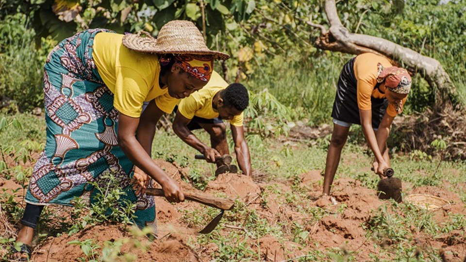 Cuidados com a Pele: Escudo Contra o Sol e os Elementos - inspiração 1