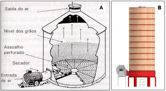 O Que é a Secagem de Grãos e Por Que Ela é Crucial para o Seu Negócio?