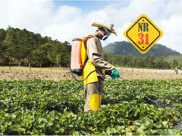 Segurança Elétrica na Propriedade Rural - inspiração 2