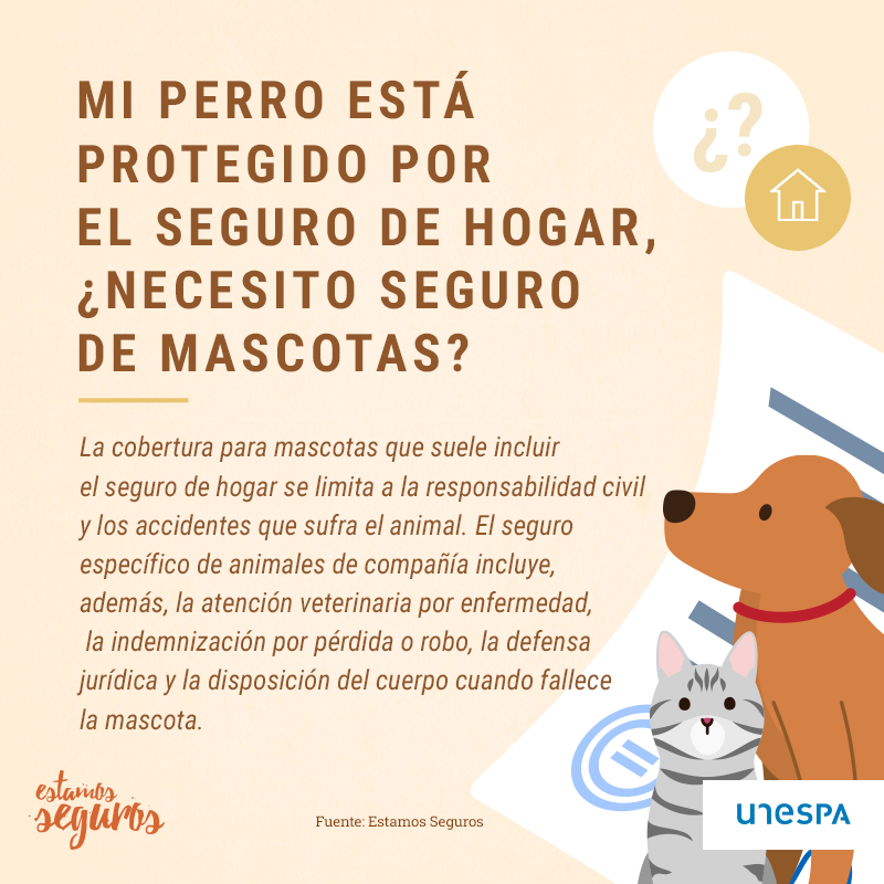 Como Escolher o Melhor Para Seu Companheiro: Dicas de Quem Entende