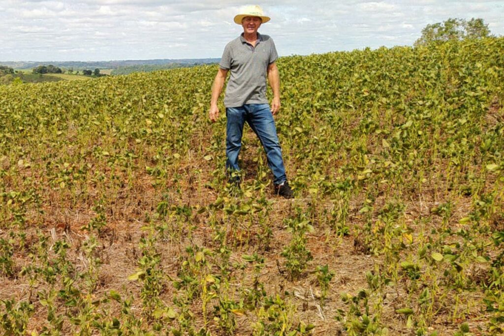 Entendendo os Mecanismos de Cobertura do Seguro Rural - inspiração 2