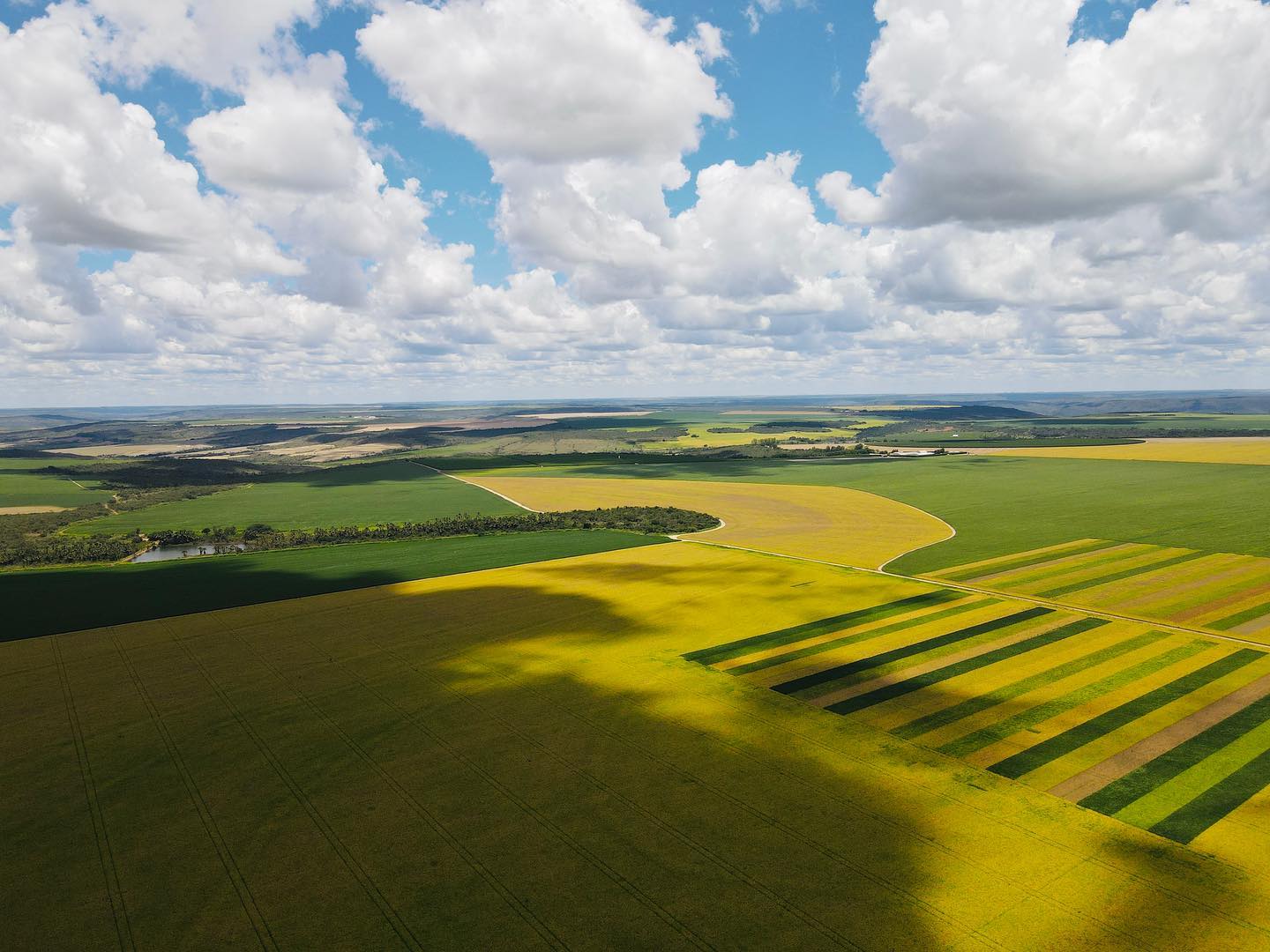 Garantindo Tranquilidade para o Futuro da Sua Propriedade - inspiração 1