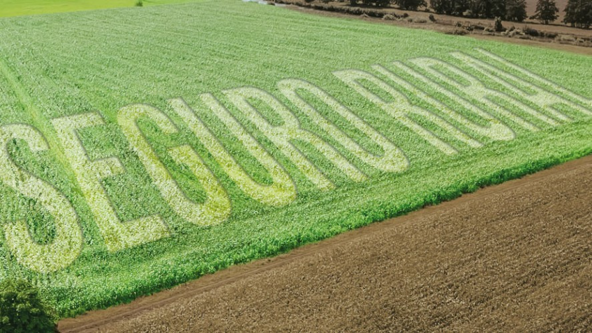 Identificando as Causas da Estiagem Cobertas - inspiração 1