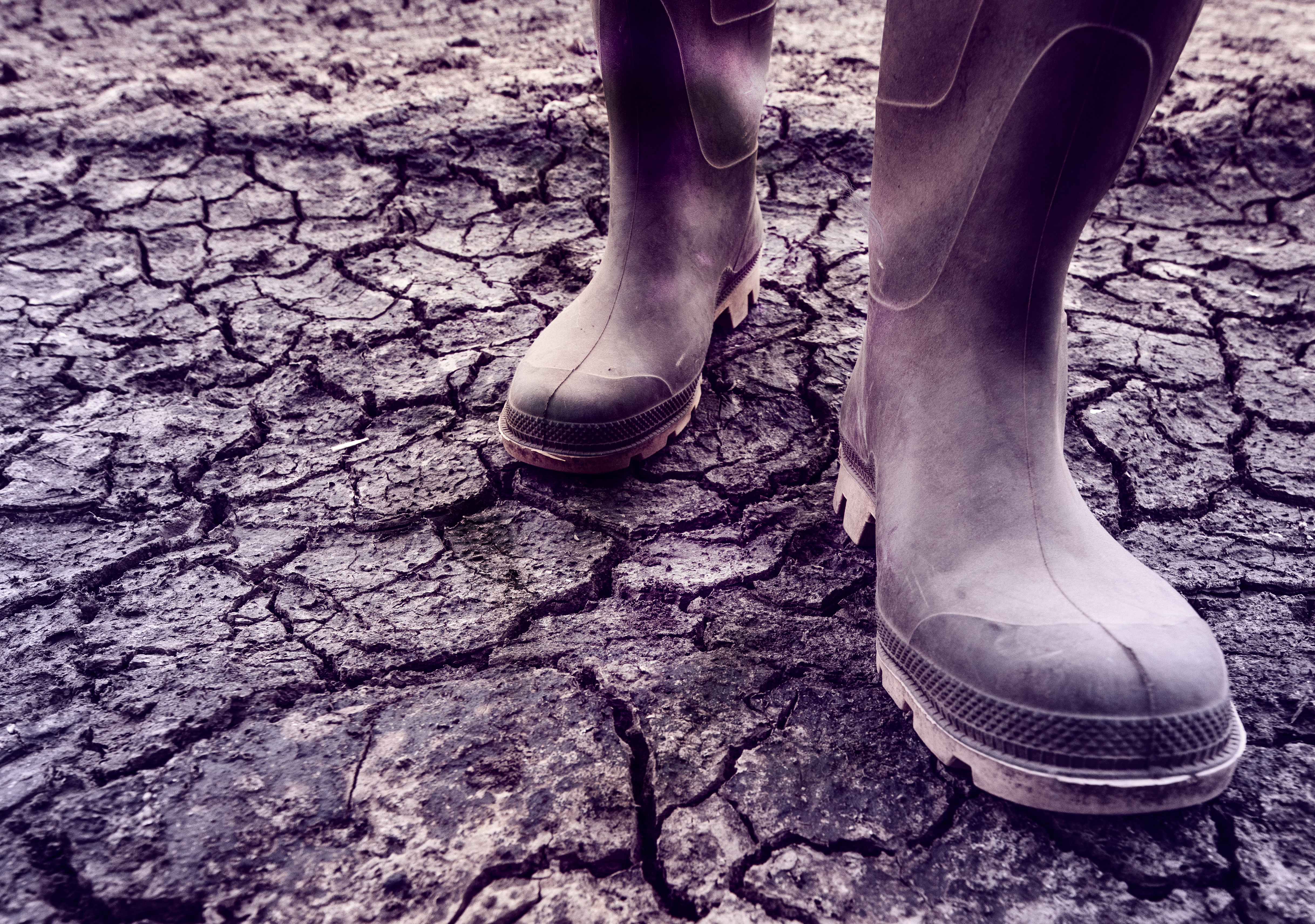 Verificando as Cláusulas Específicas para Perda de Produção - inspiração 2