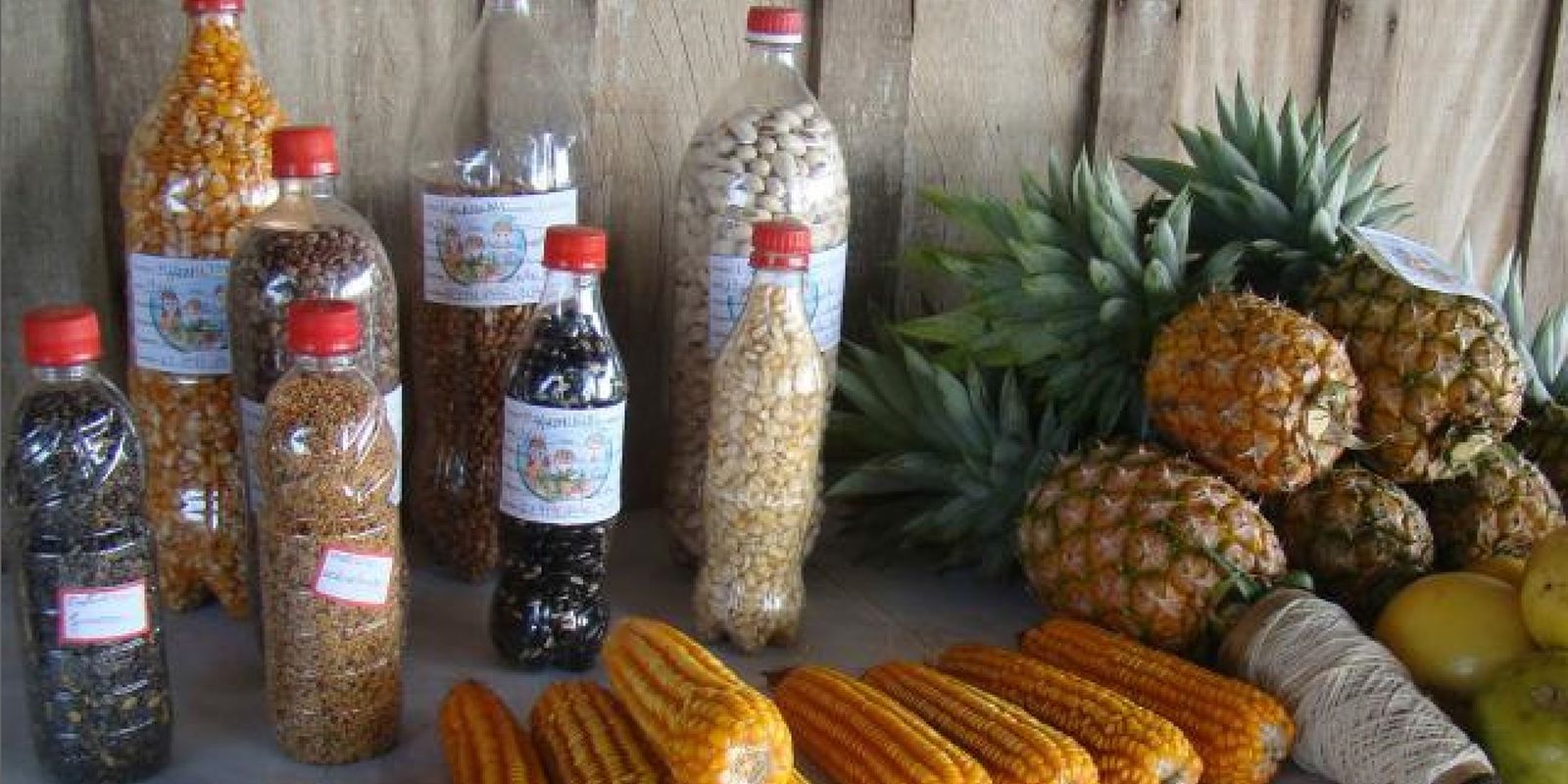 Crioulas na Sua Mesa: Receitas Simples para Começar - inspiração 2