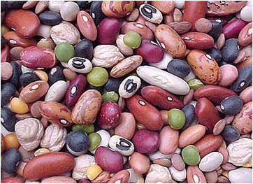 Onde Encontrar Sementes Crioulas Confiáveis no Brasil? - inspiração 1