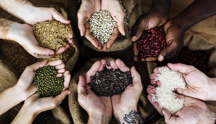 Cultivando Crioulas em Pequenos Espaços: É Possível? - inspiração 1