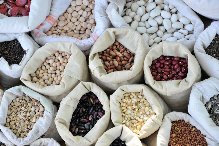 Desafios e Oportunidades para a Preservação das Crioulas - inspiração 1