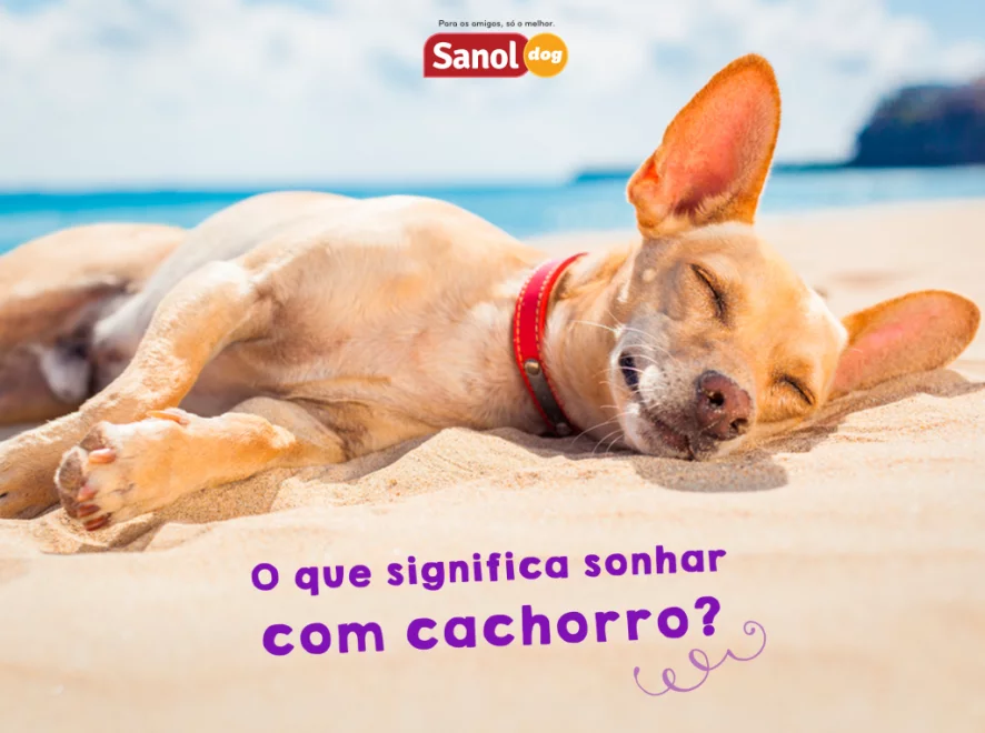 O Cachorro Branco Filhote: Novos Começos e Inocência - inspiração 2