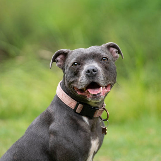 Aparência Física: Descrição Detalhada - inspiração 1