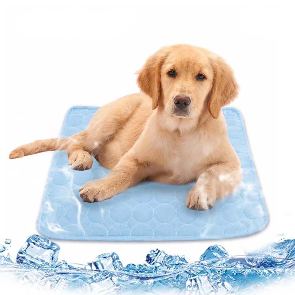 Onde e como usar o tapete gelado no dia a dia - inspiração 1