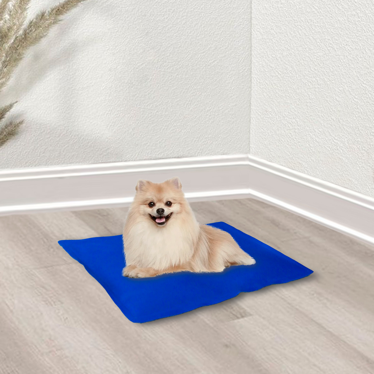 Limpeza e manutenção: Deixando o tapete sempre higienizado - inspiração 2