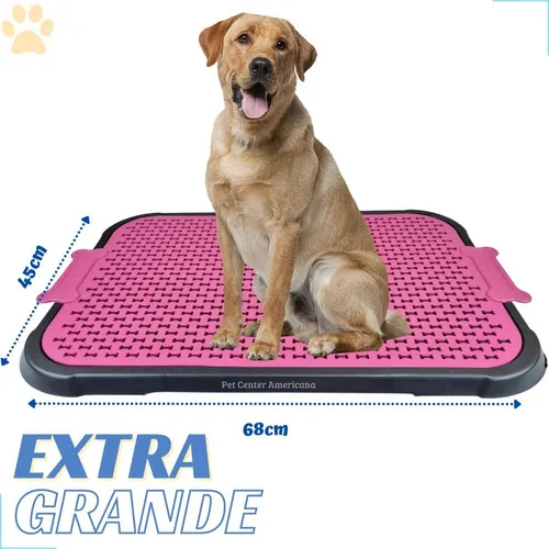 Adeus, Desperdício: Economia Inteligente no Seu Bolso - inspiração 2