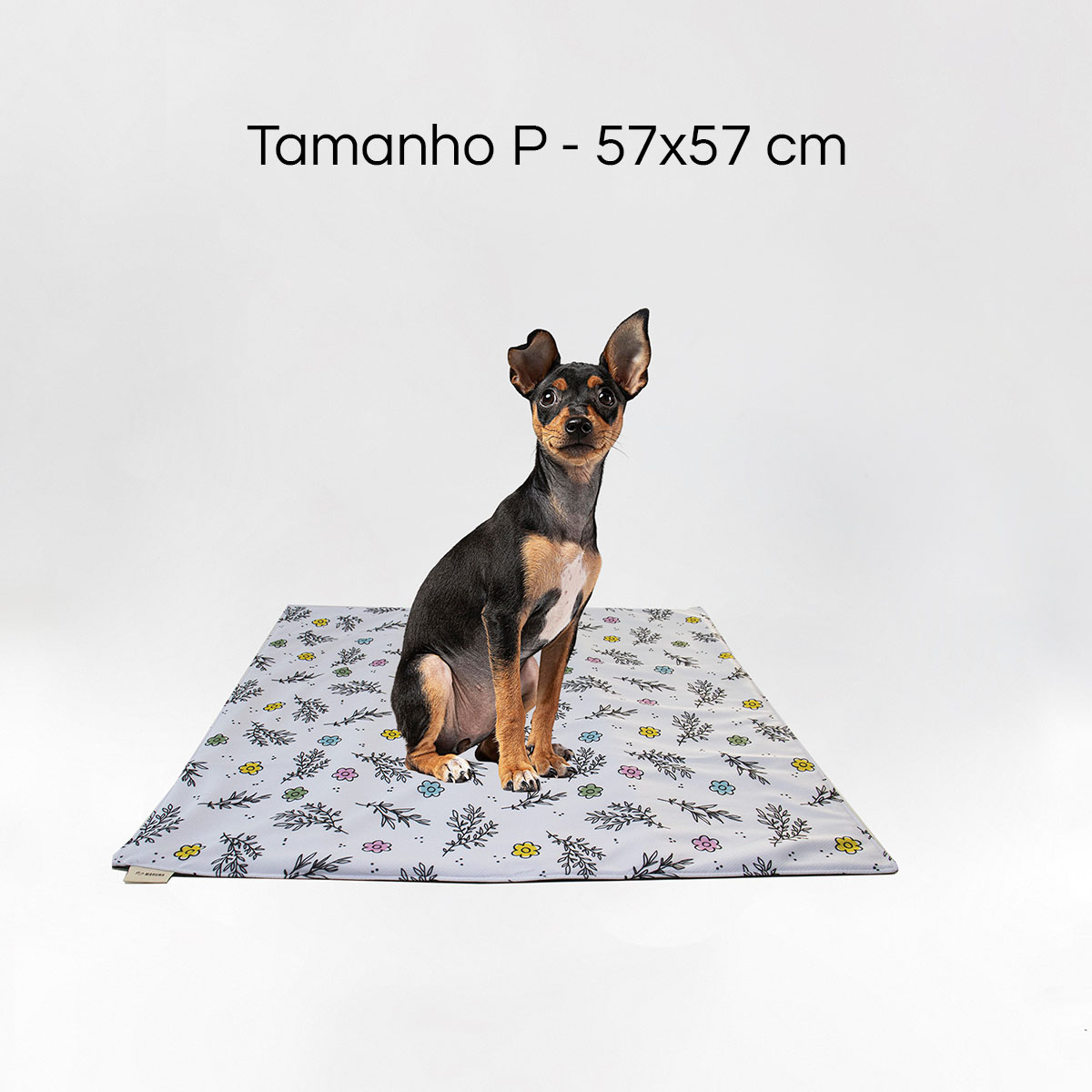 Durabilidade Surpreendente: Um Investimento Que Vale a Pena - inspiração 2