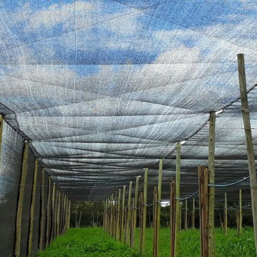 Medindo sua Necessidade: Como calcular a quantidade de tela que você realmente precisa - inspiração 1