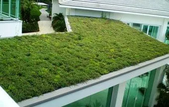 Redução do Calor: Uma Brisa Fresca o Ano Todo - inspiração 1