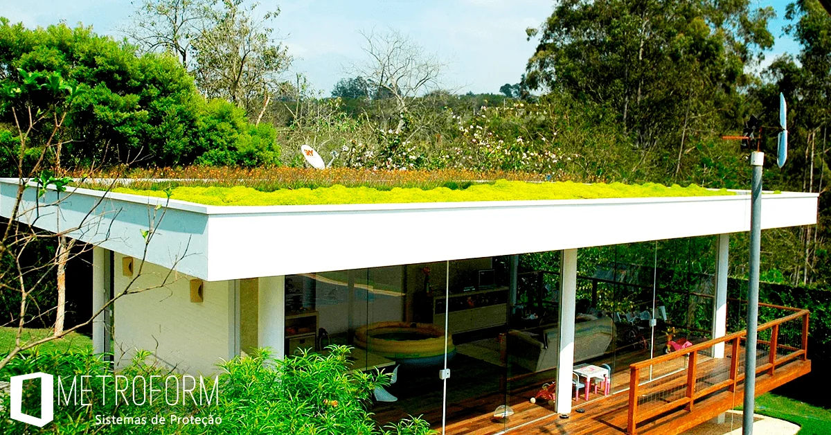 Biodiversidade Urbana: Um Oásis para a Fauna Local - inspiração 1