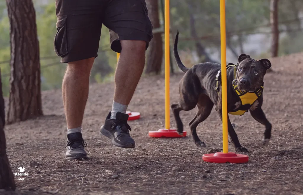 Superando Desafios Com Paciência e Criatividade - inspiração 1