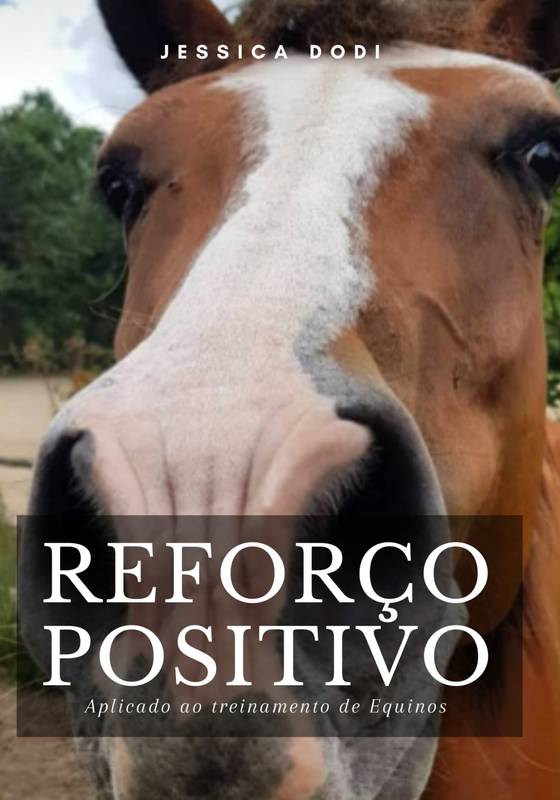 Comunicação Clara: Usando Comandos e Sinais Verbais - inspiração 2