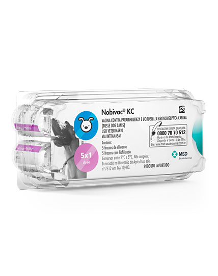 O Que Exatamente é a Gripe Canina? - inspiração 2