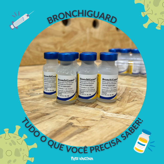 Combinando a Vacina com Outros Cuidados Essenciais - inspiração 1