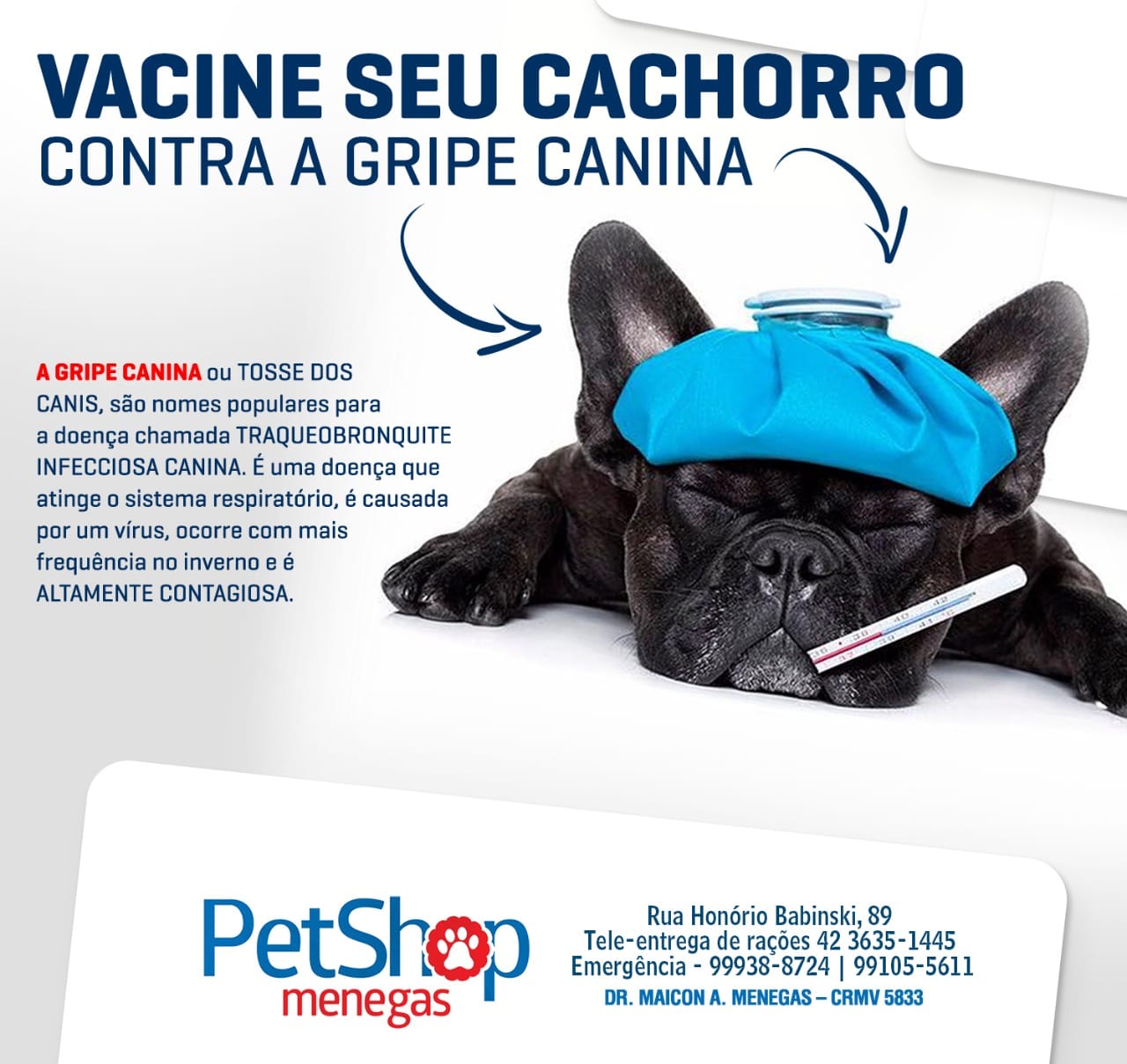 Combinando a Vacina com Outros Cuidados Essenciais - inspiração 2