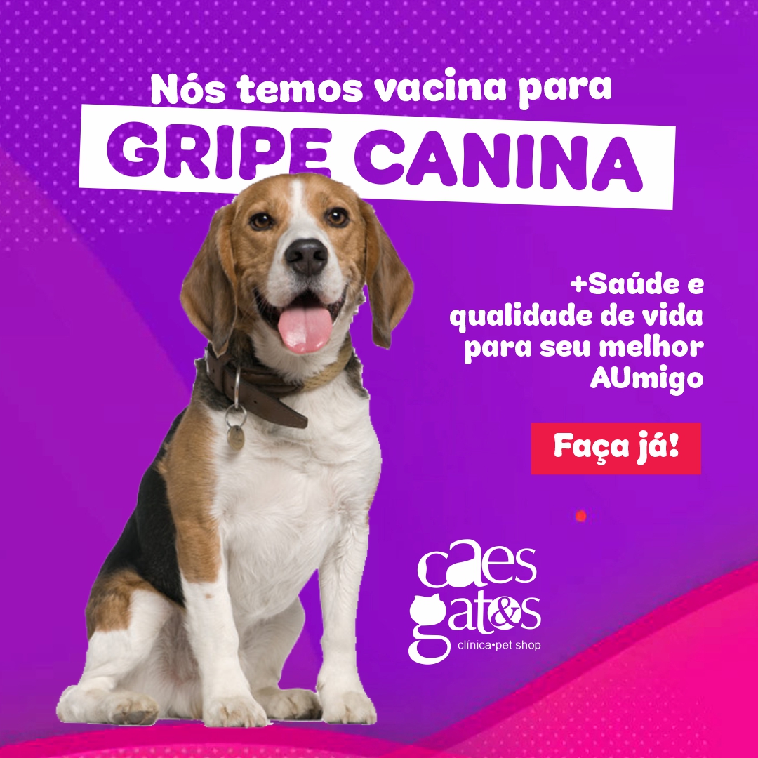 Por Que Seu Cão Precisa da Vacina Contra Gripe? - inspiração 1