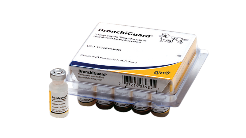 Quais Cães Devem Tomar a Vacina? - inspiração 1